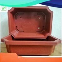 (SIÊU GIẢM) 3 Chậu Nhựa Trồng Cây Hình Chữ Nhật Màu Nâu Siêu Đẹp Kích Thước 450x320x110 - Sản Xuất Bởi NHỰA BÌ