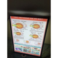 siêu hời bất bại  Khung tranh điện Y Khoa  Để Bàn, Treo Tường-Tranh nhãn khoa- Các tật khúc xạ về mắt .