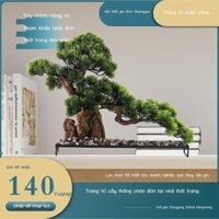 [SIÊU HOT 2023]Mô phỏng chào đón thông trang trí văn phòng bonsai cây xanh kiểu Trung Quốc mới tran
