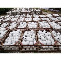 [SIÊU HOT 2023]Quảng Tây Nam Ninh Trứng Vàng Chào Pháo Hoa Rút Thăm May Mắn Đạo Cụ Sự Kiện Đập Trứ