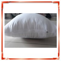 [SIÊU HOT] COMBO 5 RUỘT GỐI TỰA SOFA 45x45CM 💥