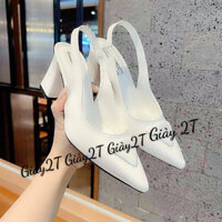 [siêu hót] Giày cao gót mũi nhọn gót vuông 7cm