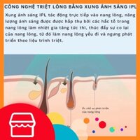 [Siêu Hot] 🍀Hàng có sẵn+NEW 2023❤️ Máy triệt lông vĩnh viễn Qmele V301-S sọc vàng hồng 500000 xung đồng bộ 2 bước Triệt