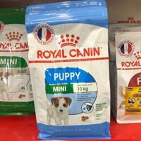 [Siêu khuyến mãi] Thức ăn cho chó ROYAL CANIN MINI JUNIOR - 800g