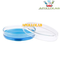 [SIÊU LỚN] 1 CẶP ĐĨA PETRI THỦY TINH các size 150x25mm 200x30mm hàng Đức