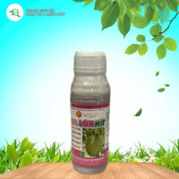 Siêu Lớn Trái Mít _Japan