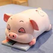 [Siêu mềm] Gấu Bông Heo Mắt Hip, Heo Phê Cần Hàng Cao Cấp Mềm MỊn Size 40cm/80cm