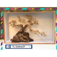 [Siêu Rẻ] Bonsai mini bể cá để bàn D28xC19