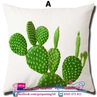 [Siêu Rẻ] Vỏ Gối Vuông Sofa, Bao Gối Ôm Trang Trí, Bọc Gối Tựa Phòng Khách Đẹp Rẻ Nhất Shoppe Mẫu Gối 3D Xương Rồng