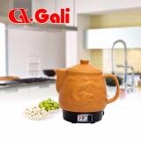 Siêu sắc thuốc điện Gali GL-1802