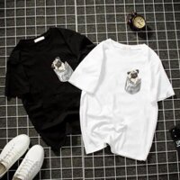 SIÊU SALE Áo thun nam nữ tui in chó pug form rộng vải dày mịn giá rẻ