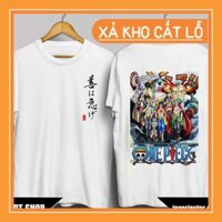 🔥SIÊU SALE🔥 Áo thun Team One Piece  siêu ngầu giá siêu rẻ nhất vịnh bắc bộ