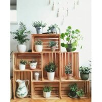 [Siêu Sale] Box gỗ trang trí - Hộp trang trí - Hộp pallet đa năng 35 x 50 x sâu 20cm - HPKTT 04