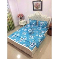 [SIÊU SALE] [HỔ TRỢ PVC] Xả kho bộ drap giường cotton poly giá rẻ (chọn mẫu)