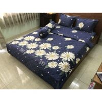[SIÊU SALE] [HỔ TRỢ PVC] Xả kho bộ drap giường cotton poly giá rẻ (chọn mẫu)
