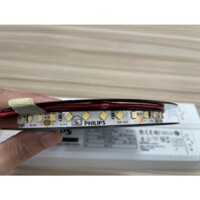 SIEU SALE Led dây philips Ls155 led6 Nw 24 VDC