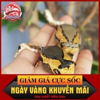 [Siêu Sốc] K frog New v2 Mồi giả nhai hơi câu lure cá lóc Thái Lan chính hãng