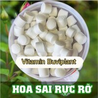 Siêu ưu đãi 100 viên tặng 100 viên Vitamin BUVIPLANT dinh dưỡng cho các loại cây