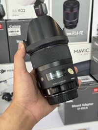 Sigma 35 1.4 art For Ca/Ni/Sony