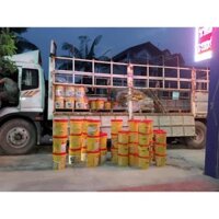 Sika 1F (Thùng 18Kg) - Hợp chất chống thấm Poly Vinyl Acetate cho bề mặt bê tông và vữa