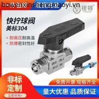 Silverton 304 Thép Không Gỉ Giả Đẹp Nhanh Vít Thẳng Van Ống Nhựa PU Teflon Ống Nước Bảng Điều Khiển Van Bi Q91SA
