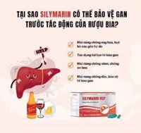 Silymarin VCP (Sylimarin 140 mg) hộp 100 viên giải độc gan, hạ men gan