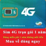 SIM 3G 4G VIETTEL D500 4GB/1 THÁNG trọn gói 1 năm không nạp tiền