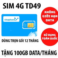 Sim 4G Data Vinaphone 12 tháng TD49 100G/tháng miễn phí không phải nạp thẻ mua về là sử dụng 12 tháng tốc độ cao