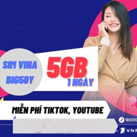 Sim 4g Data Vinaphone BIG50Y trọn gói 3 tháng 5G/ngày miễn phí không phải nạp thẻ