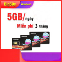Sim 4G Giá Rẻ Vinaphone BIG50Y 5GB/Ngày - Tỷ Gb Xem YOUTUBE/TIK TOK/ZALO - Miễn phí 3 Tháng Không Nạp Thẻ