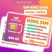 Sim 4g Vietnamobile Số Đẹp Giá Rẻ - Gói King Siêu Data 300GB – Miễn Phí Nge Gọi