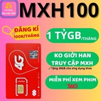 Sim 4G VIETTEL MXH Không Giới Hạn, Sim 1 Tỷ Gb/tháng, Miễn Phí Tháng Đầu Tiên (TẶNG Que Chọc Sim)