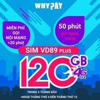 Sim 4G Vina VD89P 120Gb . Sim 10 số