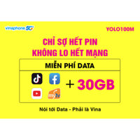SIM 4G VINA  YOLO100M MIỄN PHÍ 30GB, Facebook, Tiktok,Youtube, MY TV Không Giới Hạn ( TRỌN GÓI 12 THÁNG )