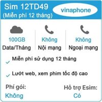 Sim 4G VinaPhone 12TD49 100GB/Tháng x 12 Tháng