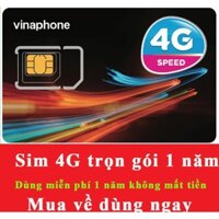 Sim 4G Vinaphone D500 Tặng 5GB/Tháng X 12 Tháng Vào Mạng 1 Năm Trọn Gói Không Mất Tiền