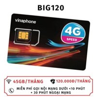 SIM 4G VINAPHONE ĐÃ KÍCH HOẠT MIỄN PHÍ DATA TRUY CẬP MẠNG GỌI NỘI MẠNG + NGOẠI MẠNG THẢ GA VD90 BIG120 D169G