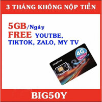 Sim 4G Vinaphone gói BIG50Y Trọn gói 3 tháng, mỗi ngày có 5GB dung lượng tốc độ cao, gia hạn tháng thứ 4 50k/tháng