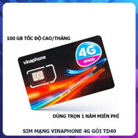 Sim 4G Vinaphone gói TD49 Trọn gói 12 tháng, mỗi tháng có 100GB Tốc Độ Cao Sử Dụng Toàn Quốc