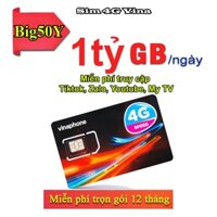 Sim 4G Vinaphone (MIỄN PHÍ 16 Tháng) Big50y tặng 5GB/ngày, duy trì 50k tháng Free tỷ Gb tiktok, youtube, zalo, my tv