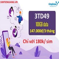 Sim 4G Vinaphone Miễn Phí Lên Mạng 3 Tháng Đầu