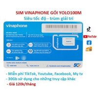 Sim 4G Vinaphone nghe gọi, dùng mãi gói cước Mạng Xã Hội YOLO100M không giới hạn data, Hàng chính hãng