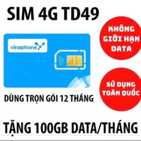 Sim 4G vinaphone TD49 dùng cả năm không cần nạp - sim max data tốc độ cao 100Gb/tháng