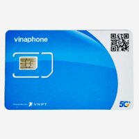 SIM 4G Vinaphone TD49 U1500 BIG50Y D219 D159V D199G D89Y Trọn Gói 1 Năm Không Cần Nạp Tiền, Sim HICO