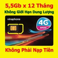 Sim 4G VinaPhone Trọn Gói 1 Năm Miễn Phí