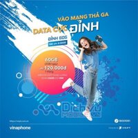 Sim 4G Vinaphone VD89,D60G miễn phí một năm không cần nạp tiền 2g/ngày, sử dụng cho(điện thoại, máy tính bảng, laptop..)