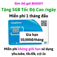 Sim 5G Vinaphone Miễn Phí Gói Cước 1 Tỷ GB Chỉ 49K/THáng FREE 1 Tháng Đầu - TD49 BIG50Y VD149