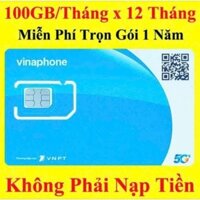 SIM DATA VINAPHONE 12TD49