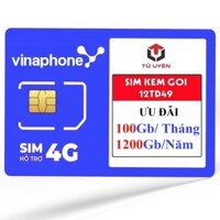 Sim data vinaphone kèm gói 12TD49 - 100Gb/tháng sử dụng data miễn phí 1 năm.Có nghe gọi.