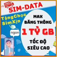 Sim data xài thả ga mobifone VPB51 12A69S A69S BIG50Y V120Z V150Z V150N V120N WIN89 WIN60 12 THÁNG U1500 UMAX50N UMAX90